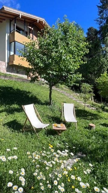 לינה וארוחת בוקר לה קומברסיטה Casa Raiz Cumbrecita מראה חיצוני תמונה