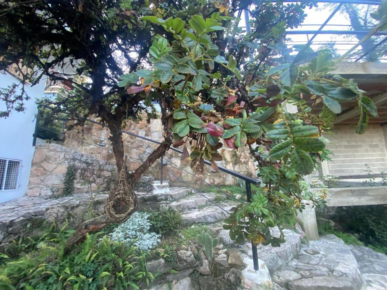 לינה וארוחת בוקר לה קומברסיטה Casa Raiz Cumbrecita מראה חיצוני תמונה
